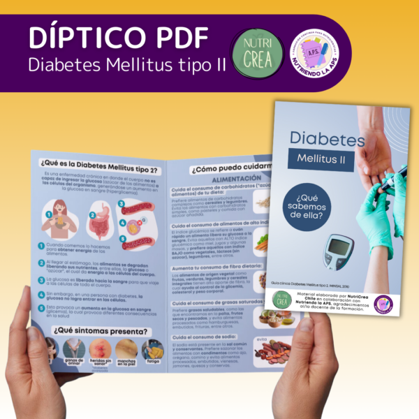 Díptico Diabetes Mellitus 2 - NutriCrea